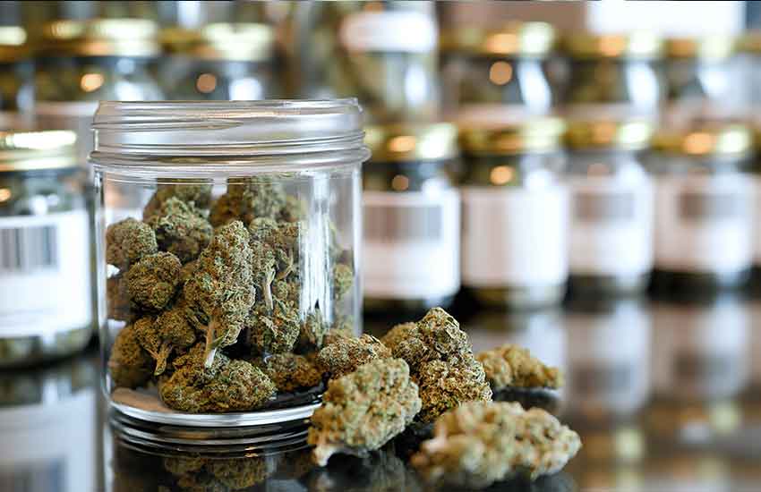 Premium Cannabis Flower at Blaine Dispensary