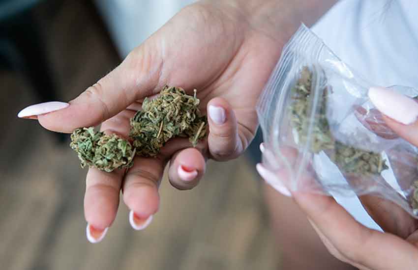 Cannabis Safety Guidelines