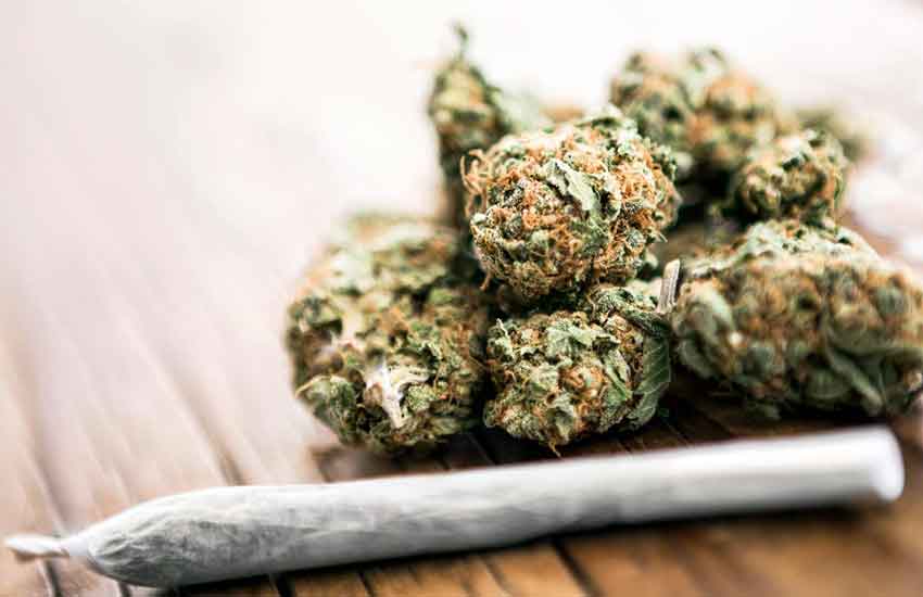 Benefits of Cannabis Flower at Blaine Dispensary