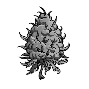 Cannabis Concentrates