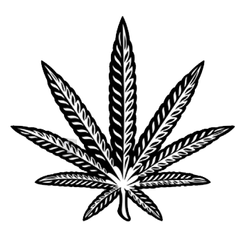 Sativa Cannabis Flower